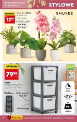 Hity i inspiracje - Biedronka