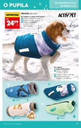 Hity i inspiracje - Biedronka