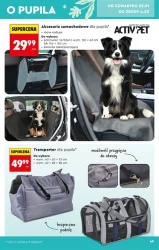 Hity i inspiracje - Biedronka