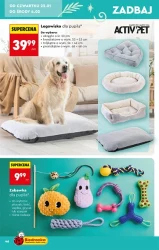 Hity i inspiracje - Biedronka