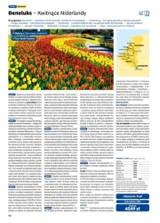 Lato 2026 - Rainbow Tours