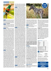 Egzotyka 2025/2025 - Rainbow Tours