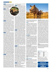 Egzotyka 2025/2025 - Rainbow Tours