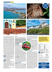 Egzotyka 2025/2025 - Rainbow Tours