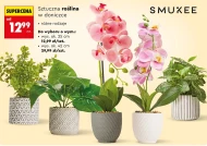 Sztuczna roślina Smukee