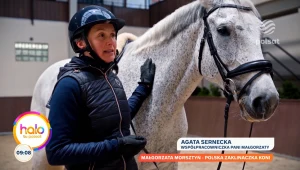 Małgorzata Morsztyn - polska zaklinaczka koni 
