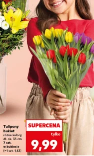 Bukiet tulipanów Tulipany