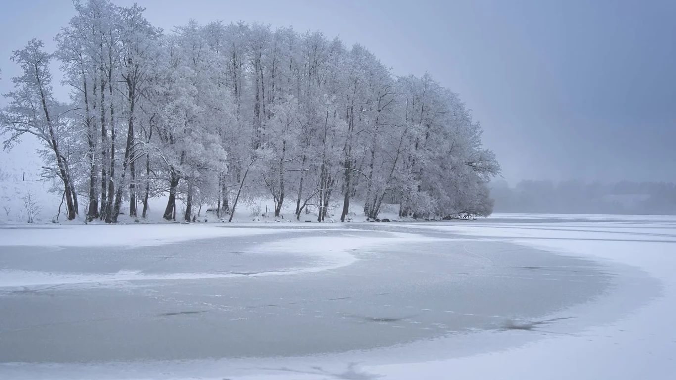 Zamarznięte jezioro Hańcza Zamarznięte jezioro otoczone ośnieżonymi drzewami, w tle lekka mgła nadająca zimowej scenerii spokojny, chłodny klimat.