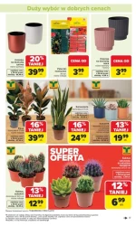 Łap okazje! - Carrefour