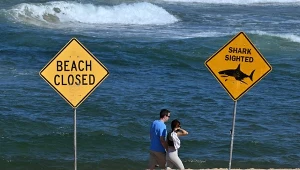 Atak rekina w Australii. Nastolatek w stanie krytycznym