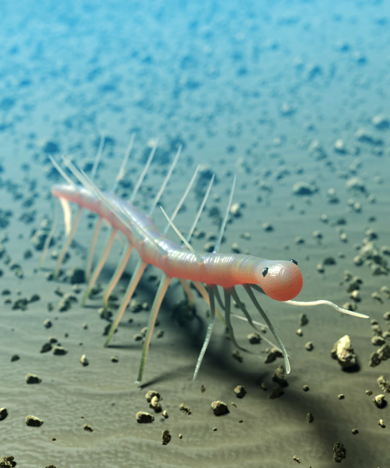 Różowa stonoga z licznymi długimi odnóżami porusza się po piaszczystym lub kamienistym podłożu z rozproszonymi kamykami, otaczające tło stopniowo przechodzi w błękit.