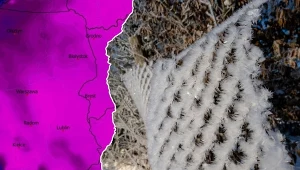 Rano na Podkarpaciu było prawie -26 stopni Celsjusza. W ciągu dnia na wschodzie mogą panować dwucyfrowe mrozy