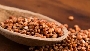 Czym charakteryzuje się sorgo? Kto powinien je spożywać?
