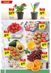 Na wyjątkową okazję- Gram Market