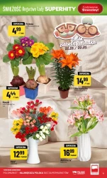 Bogactwo lady! - Polomarket