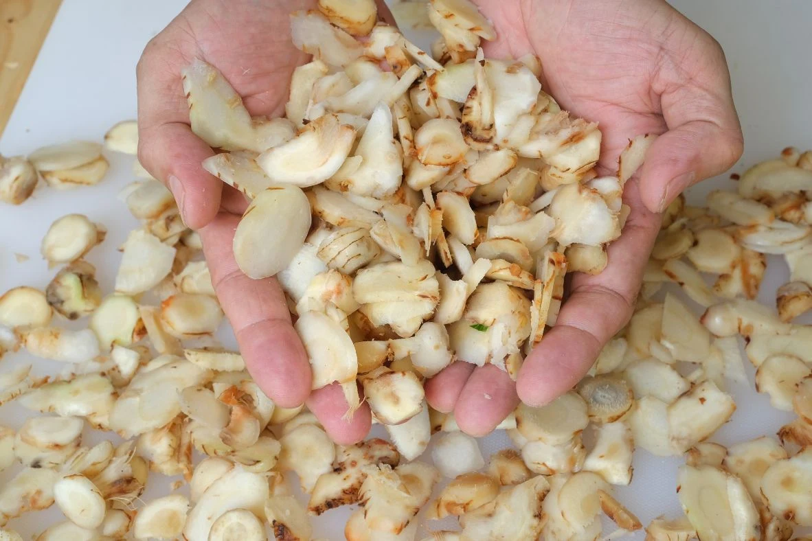 Świeży galangal najlepiej pokroić w drobne plastry i dodać do potrawy, aby nadać jej wyrazisty aromat