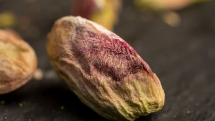 Orzech pistacji bez łupinki
