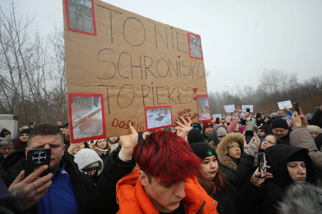 Duży tłum ludzi podczas protestu, większość osób trzyma telefony i rejestruje wydarzenie, na pierwszym planie osoba z czerwonymi włosami trzyma duży kartonowy transparent z napisem 'To nie schronisko to piekło' oraz kilkoma zdjęciami otoczonymi czerwon...