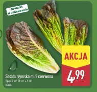 Салат ромен