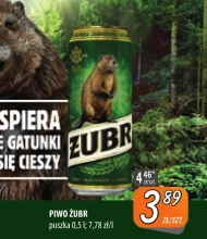 Piwo Żubr
