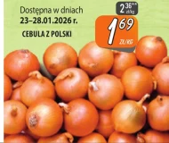 Cebula Polski