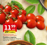 Pomidory O...