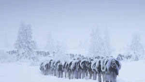 Wojsko wysłało listy do tysięcy Norwegów. Kraj przygotowuje się do wojny