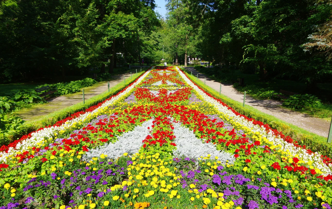Symetryczna, kolorowa rabata kwiatowa składająca się z żółtych, czerwonych, białych i fioletowych kwiatów, umieszczona w zadbanym parku otoczonym wysokimi drzewami i alejkami.
