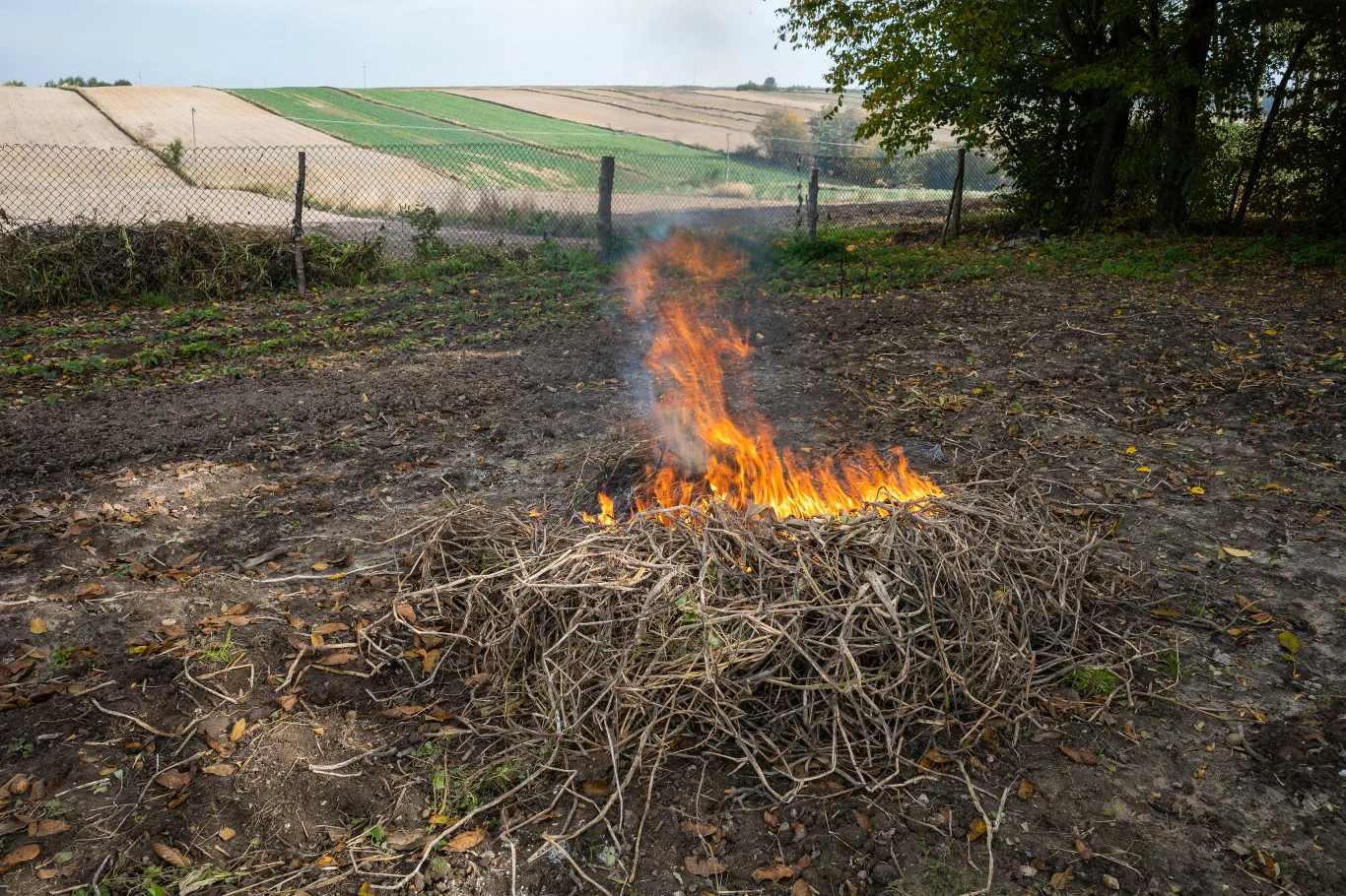 Obowiązujące przepisy jasno wskazują, że palenie gałęzi, liści i innych odpadów roślinnych na terenie własnej posesji jest zabronione. Obowiązujące przepisy jasno wskazują, że palenie gałęzi, liści i innych odpadów roślinnych na terenie własnej posesji jest zabronione.
