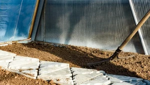 Ile śniegu rozrzucić w szklarni, by przyniosło to korzyści dla gleby?