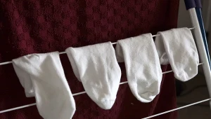 Niezawodne sposoby na przywrócenie bieli skarpetkom. Fot. KathrynHatashitaLee/Canva Pro