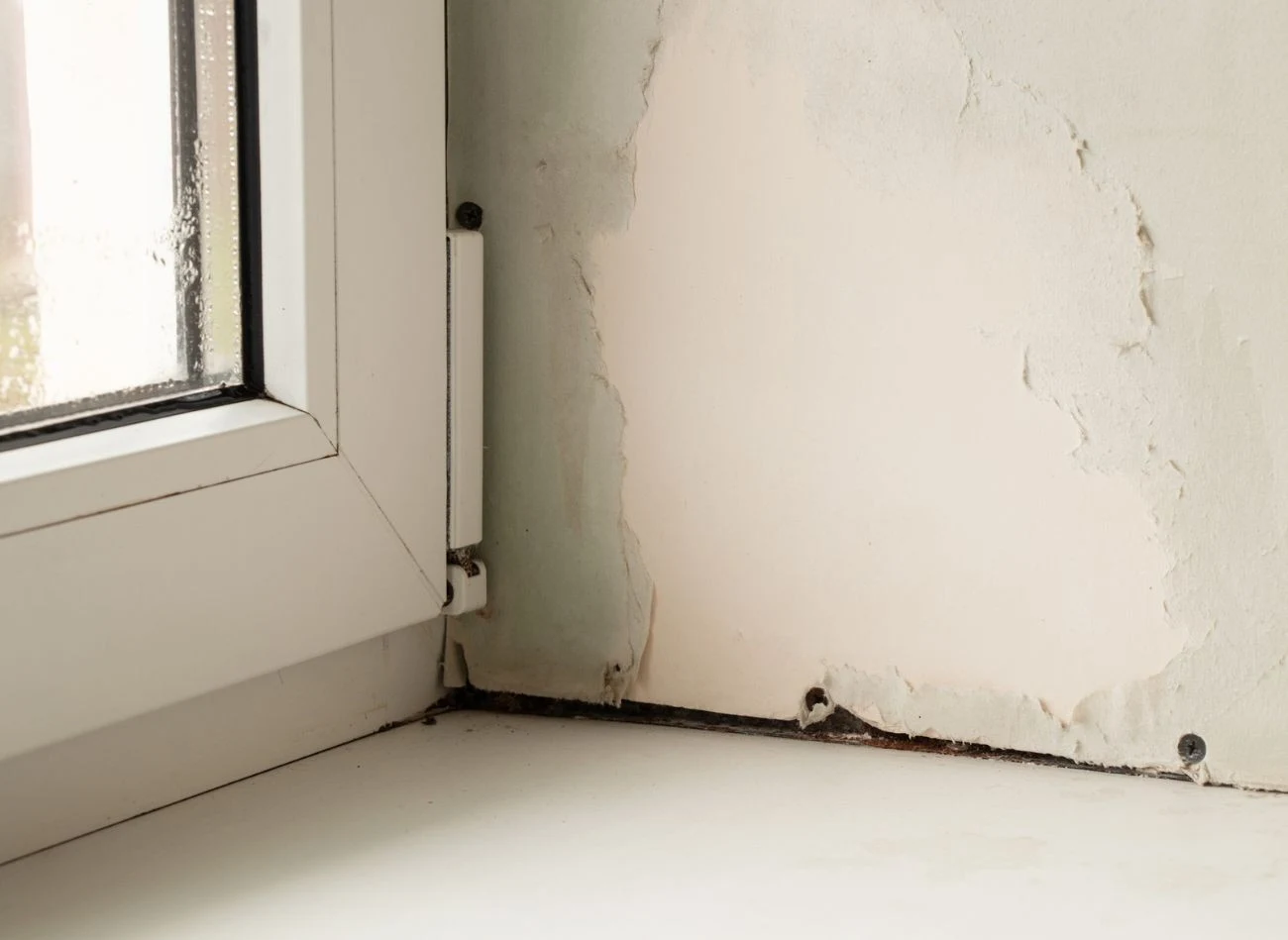 Zwiększona wilgotność w domu powoduje, że ściany zaczynają zachodzic grzybem.