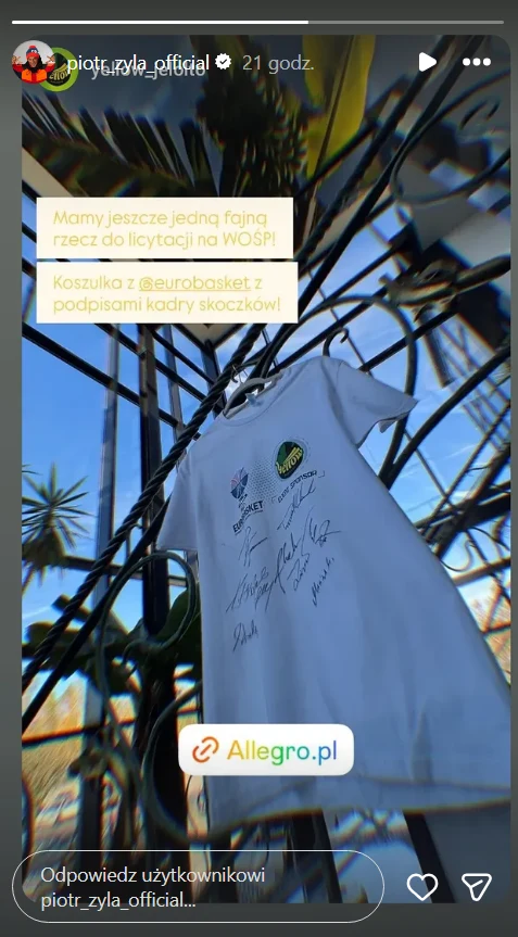 Biała koszulka z widocznymi autografami, zawieszona na tle metalowej konstrukcji oraz zielonych liści palmowych, z dołączonymi informacjami o licytacji charytatywnej WOŚP na platformie Allegro.