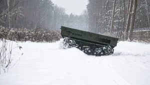 Polska KUNA radzi sobie świetnie nawet w najtrudniejszych warunkach