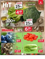 Dobre ceny, dobry wybór – Selgros Cash&Carry