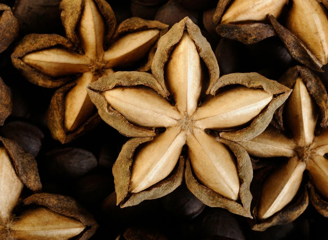 Z tej rośliny powstaje najzdrowszy olej na świecie. Ten superfood Inków ma ponad 3000 lat 