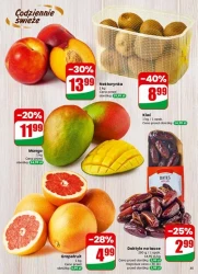 Ceny, które przyciągają –Dino