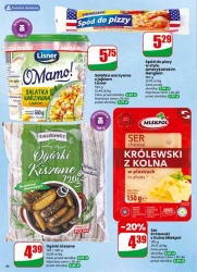 Ceny, które przyciągają –Dino