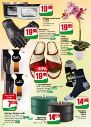 Ceny, które przyciągają –Dino