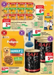 Ceny, które przyciągają –Dino