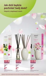 Codzienny rytuał piękna - Rossmann