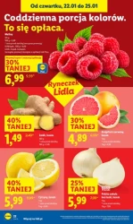 Zakupy, które się opłacają – Lidl