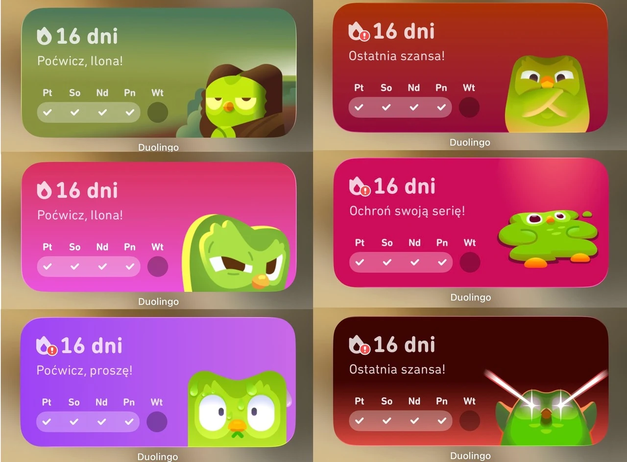 Dramatyczna sowa regularnie przypomina o nauce / zrzut ekranu, widżet Duolingo Sześć kolorowych okienek z grafikami sowy Duolingo, każde z napisem 16 dni oraz różnymi hasłami motywacyjnymi i innymi wyrazami twarzy sowy, służącymi do zachęcenia użytkownika do nauki.