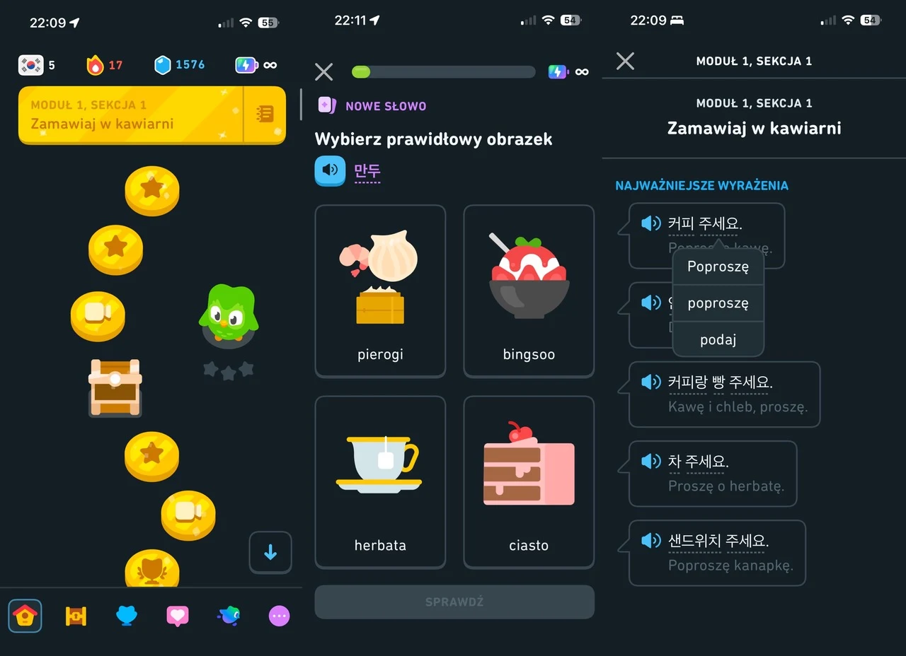 Kurs koreańskiego z modułami / zrzut ekranu: aplikacja Duolingo Interfejs aplikacji do nauki języków obcych z kolorowymi ikonami, opcjami wyboru odpowiednich obrazków do słów oraz listą najważniejszych zwrotów w języku koreańskim i ich tłumaczeń na język polski.