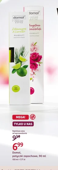 Patyczki zapachowe Domol