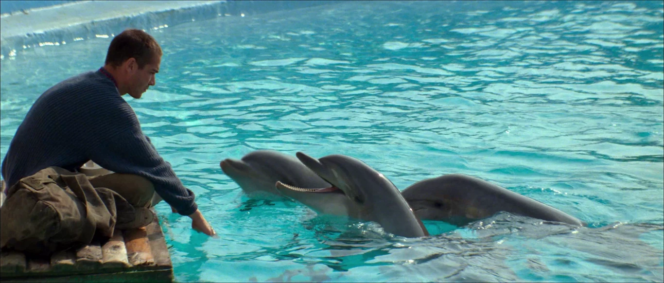 Mężczyzna kuca przy brzegu basenu i wyciąga rękę w stronę trzech delfinów, które podchodzą do niego z otwartymi pyskami, woda w basenie jest czysta, a otoczenie spokojne.