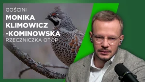 Ptaki nie znają granic. Konieczna była zmiana prawa w Polsce