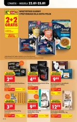 Codziennie niskie ceny w Biedronce