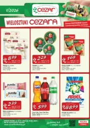 Promocje, które warto znać – Delikatesy CEZAR