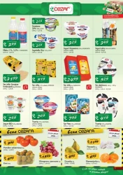Promocje, które warto znać – Delikatesy CEZAR